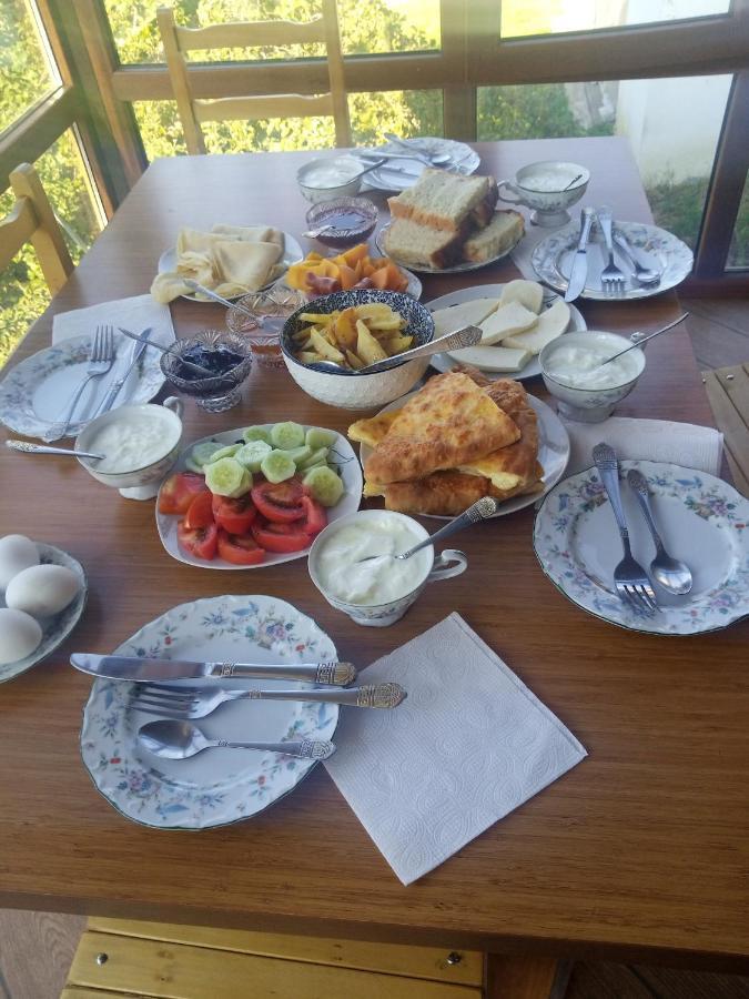 Guesthouse Data Mestia Eksteriør bilde